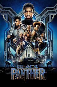 Black Panther (2018) [Hindi-English] BluRay 1080p 720p 480p ESub- MovieGalaxyBD.Com