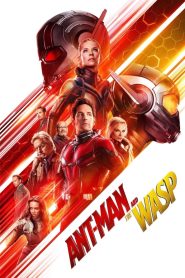 Ant Man The Wasp (2018) Dual[Hindi-English] 1080p 720p 480p Download.mkv-MovieGalaxyBD.Com