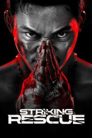 Striking Rescue (2024) Dual Audio [Hindi ORG-Chinese] BluRay 1080p 720p 480p ESub-MovieGalaxyBD.Com